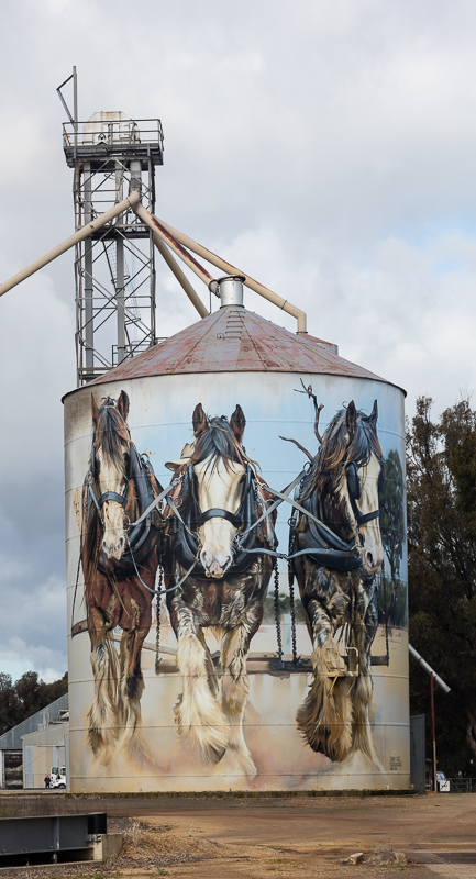 Goorambat Draft Horses Silo Art