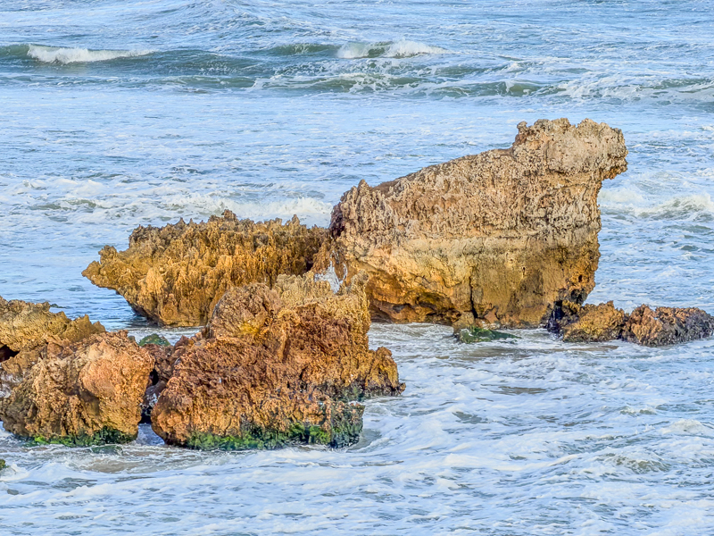 Hopkins River Mouth