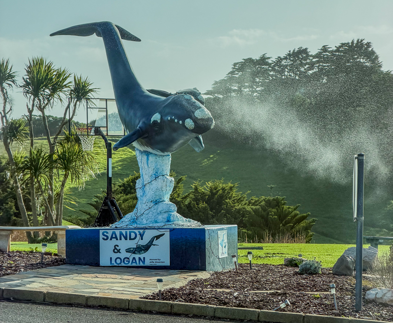 Whale Fountain