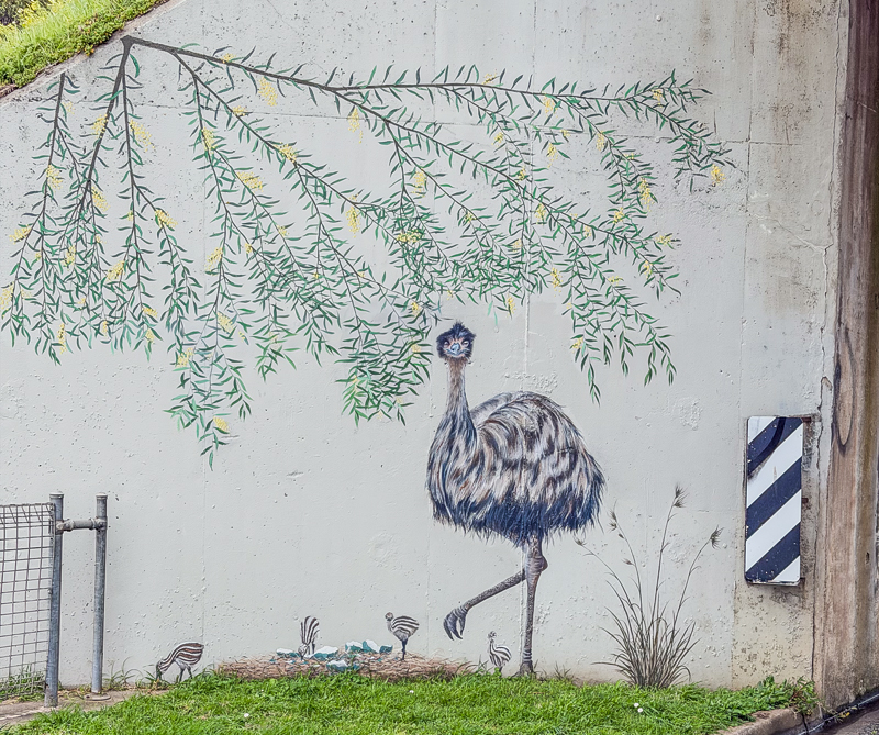 Emu