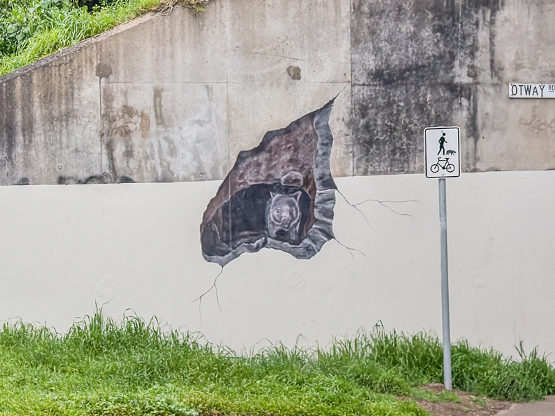 Wombat escape