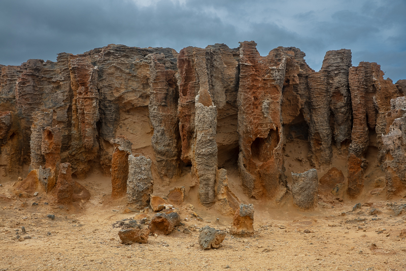 Petrified Forest