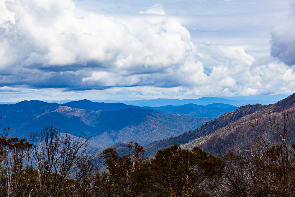 Mount Buller